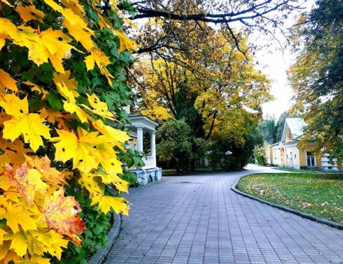 Внешний вид и территория - Санаторий «Валуево»